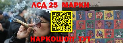 прущий лед Сланцы