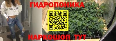 прущий лед Сланцы