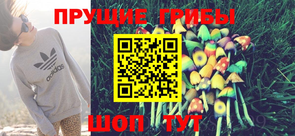 Галлюциногенные грибы мицелий Новороссийск