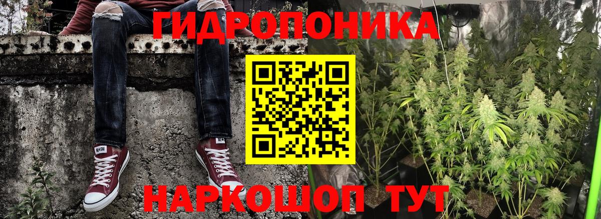 Новороссийск  Конопля план  Вход с VPN  Бошки Шишки марихуана  Каннабис Bruce Banner 